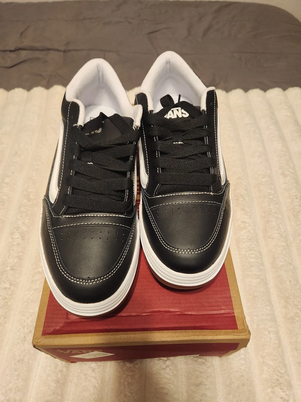 Vans Hylane Low-Top Black & White Men's Skate Sneakers